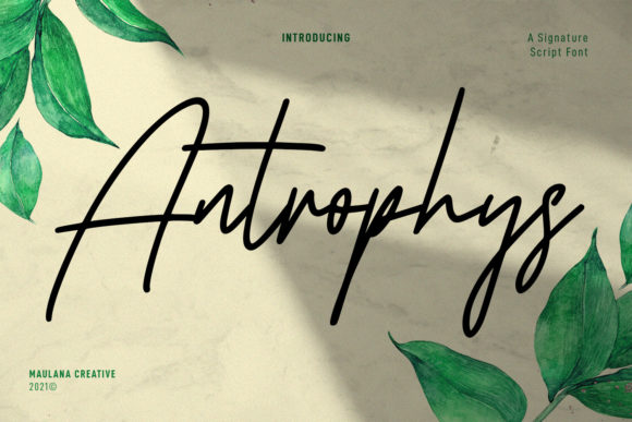 Antrophys Script: Elevate Your Design with Casual Elegance