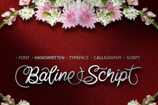 Baline Script: A Spontaneous Decorated Font for Modern Design