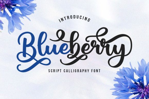 Blueberry Script: A Font That Balances Charm and Elegance