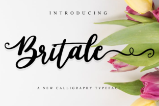 Britale Script: Crafting Romantic Visual Narratives