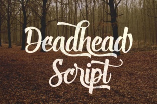 Deadhead Script: A Brush Lettering Typeface with Real-World Grit