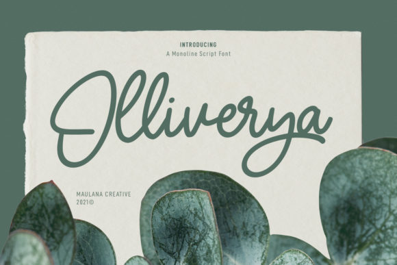 Olliverya Script: A Touch of Elegance for Modern Design
